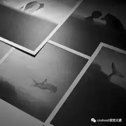 印尼插画师eliciaedijanto的黑白水彩画