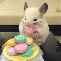 襄阳金猪相伴,御府为家系列活动将萌趣启幕动态吉屋网