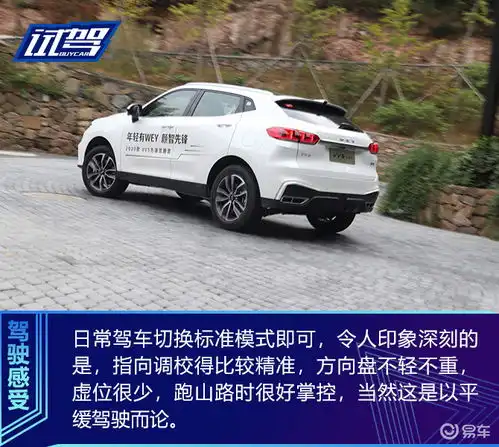 颜智再进化试驾2020款weyvv5
