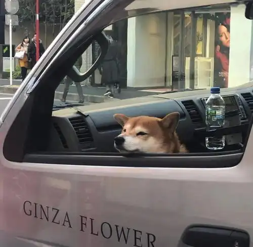 朋友圈背景图