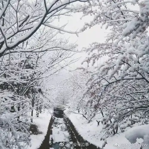 本以为要穿春装去赏花季节却看秦岭祥峪冰雪奇缘