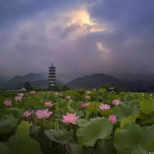 五大官方认证夏纳凉地,处暑后在吃喝玩乐中轻松躲过秋老虎