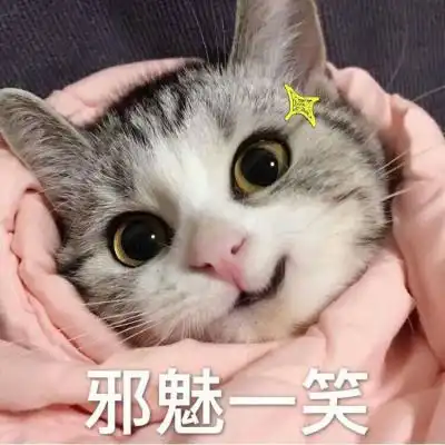 2018qq带字头像可爱猫咪呆萌搞笑梦里不知身是客一晌贪欢