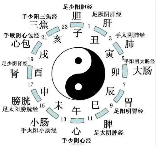 倪海厦针灸课笔记02天干地支与井荣俞原经合