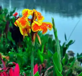 早年赚钱很辛苦,9月起走大运,财大气粗让人高攀不起的生肖眼睛