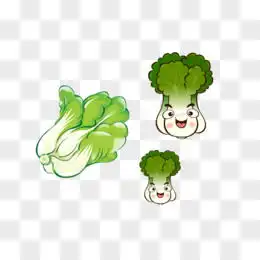 卡通白菜图片素材免费卡通白菜png设计图片大全图精灵