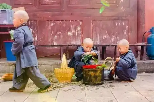 一大群呆萌小和尚来袭,你萌你说什么