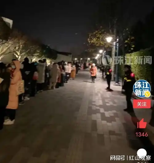 上海超5000人凌晨在迪士尼乐园排队买玩偶,网友刷新认知