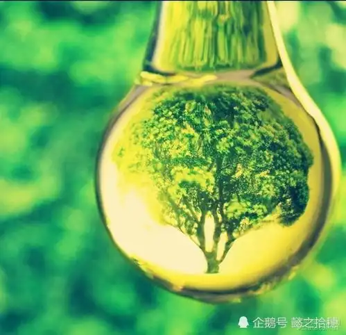 为实现碳达峰碳中和目标,中国首推64亿元的碳中和债券