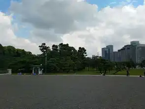 一个人的东京大阪初体验2日自由行跟团