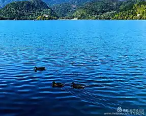 布莱德湖