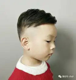 春天精选小帅哥发型11款