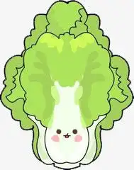 白菜png图片素材下载白菜png熊猫办公