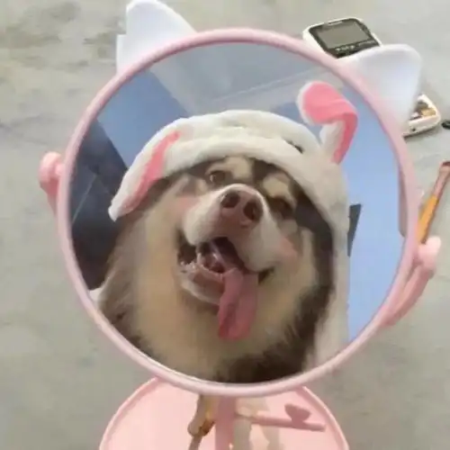 情侣头像大全
