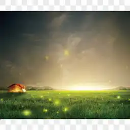 夜晚星空图片夜晚星空素材夜晚星空png大全下载熊猫办公