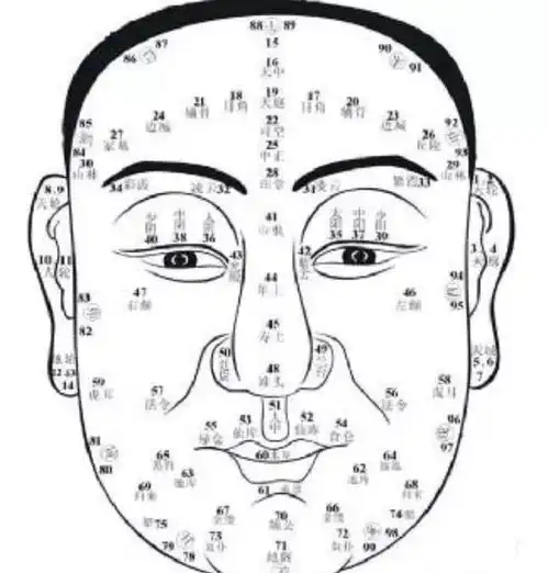 测试一个超长简介的文章