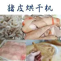 供应猪皮烘干机价格型号图片