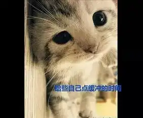 大咖笑料萌宠爆笑来袭会摇头的狗狗萌萌哒
