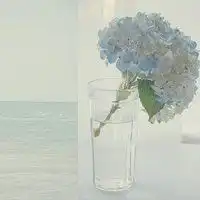 测试一个超长简介的文章