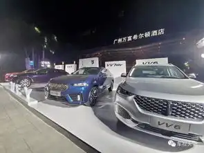 wey再发力2025年挑战年销30万辆,重磅发布全球化战略布局