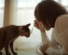 怀孕了一定要暂别宠物吗