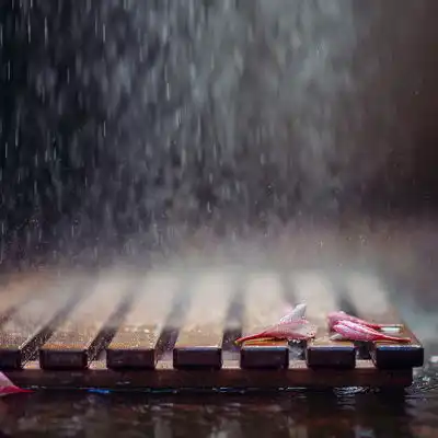qq头像伤感风景图片