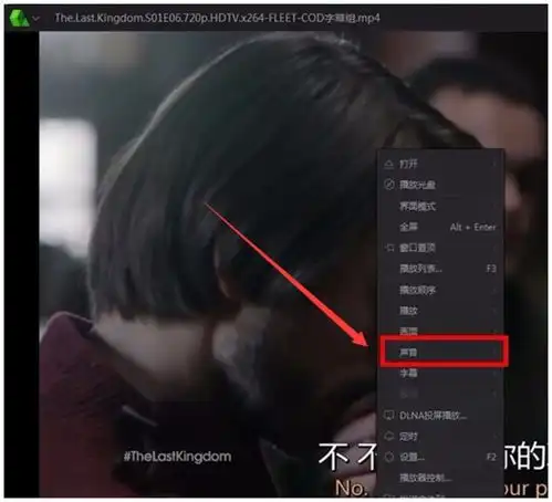 制作视频,配音怎么和字幕同步啊
