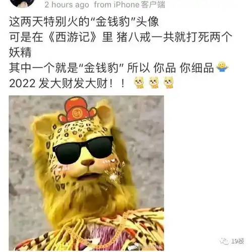 西游记导演都想不到虎年将至,一只豹子突然火遍了朋友圈