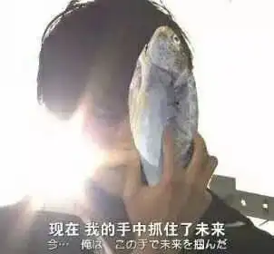 假面骑士沙雕表情包之奶奶说过