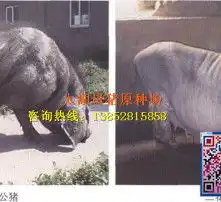 黄页88高清图片