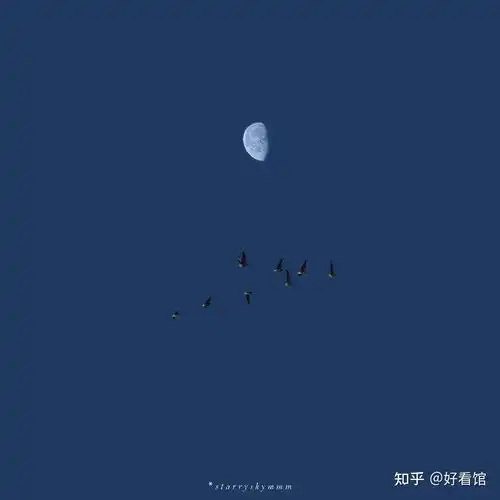 头像小清新简单干净头像