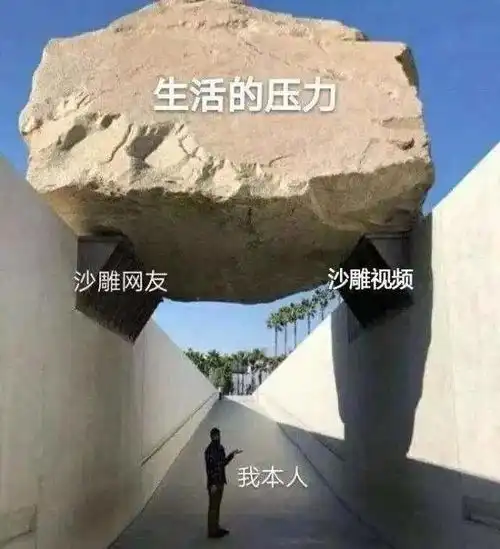 高校学生2020上半年总结,太形象了