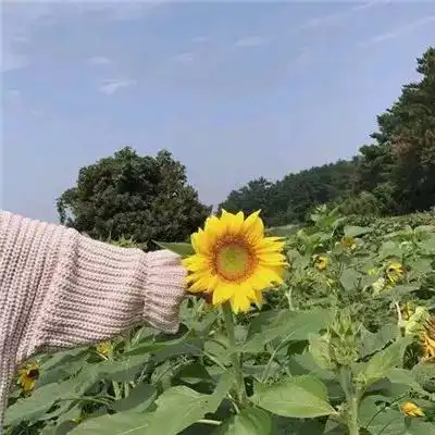 测试一个超长简介的文章
