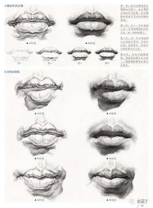 最专业的素描头像课件最牛单体头像五官,选对头像书很重要