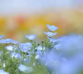 朋友圈早安语录精选分享