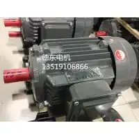 销售德东电机ye2100l23kw三相异步电机f等级ip55图片大全上海德东电机厂