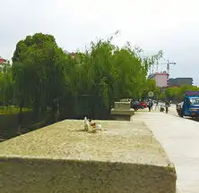 南昌玉带桥上景观灯集体失踪电线直接暴露在外