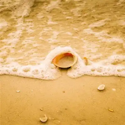 细软的海滩风景头像,散发着太阳的气息
