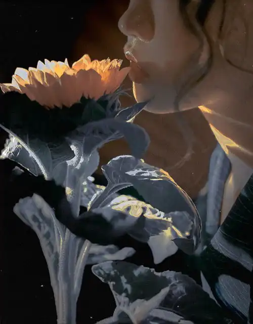 简单日常的小众库存短句文案