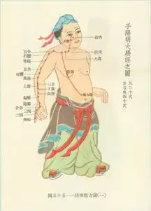 道家养生,十二时辰养生法,最简单的长寿秘诀