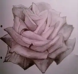 怎样用素描画玫瑰