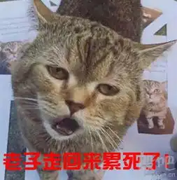 广宇发展换手率不到5龙虎榜基本是机构买进,可以拿着明天没必要卖那么快
