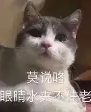 2019年,这届年轻人不带你玩了