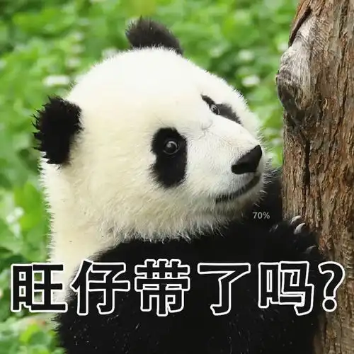 超萌儿童节专属熊猫表情包,速来拿图