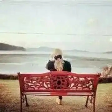 测试一个超长简介的文章