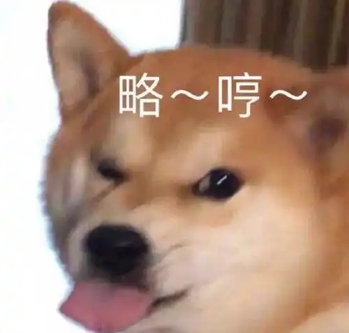 测试一个超长简介的文章