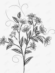 素描花卉素材图片免费下载高清卡通手绘png千库网图片编号3374353