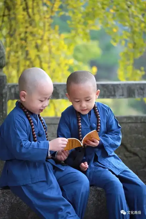 太可爱了南岳南台寺和福严寺一群最萌小和尚小仙姑来袭