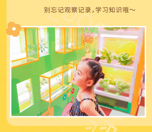 治愈系网红ip萌芽熊正式亮相虹桥南丰城懂了,这就来