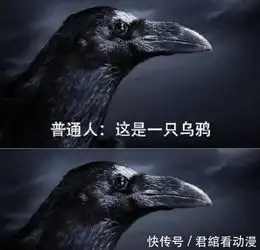 普通人vs火影迷视角,当看到所有图片后,网友内容过于真实